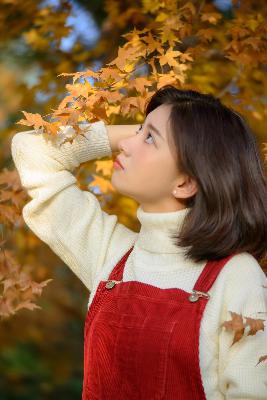 大地资源免费视频观看,大地资源高清播放在线观看