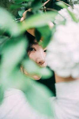 丁香花电影高清在线小说阅读,丁香花在线电影电视剧