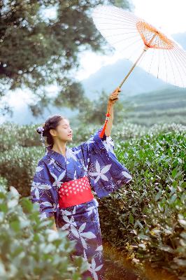 丁香花在线电影电视剧